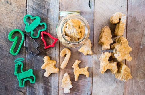 How to Involve Your Pet in the Holiday Season – Play Pet Brands