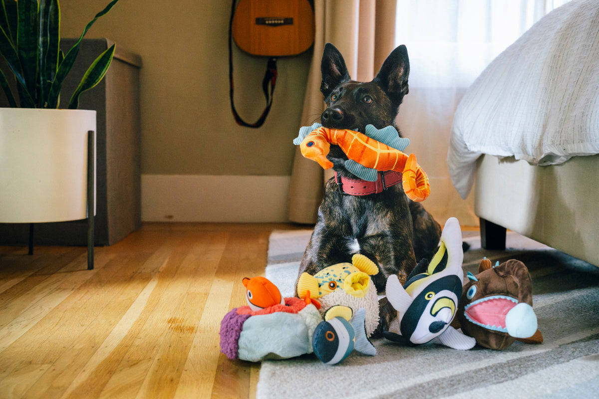 Play Ocean Buddies Dog Toys | Ocean Plush Toy Collection – Play Pet Brands