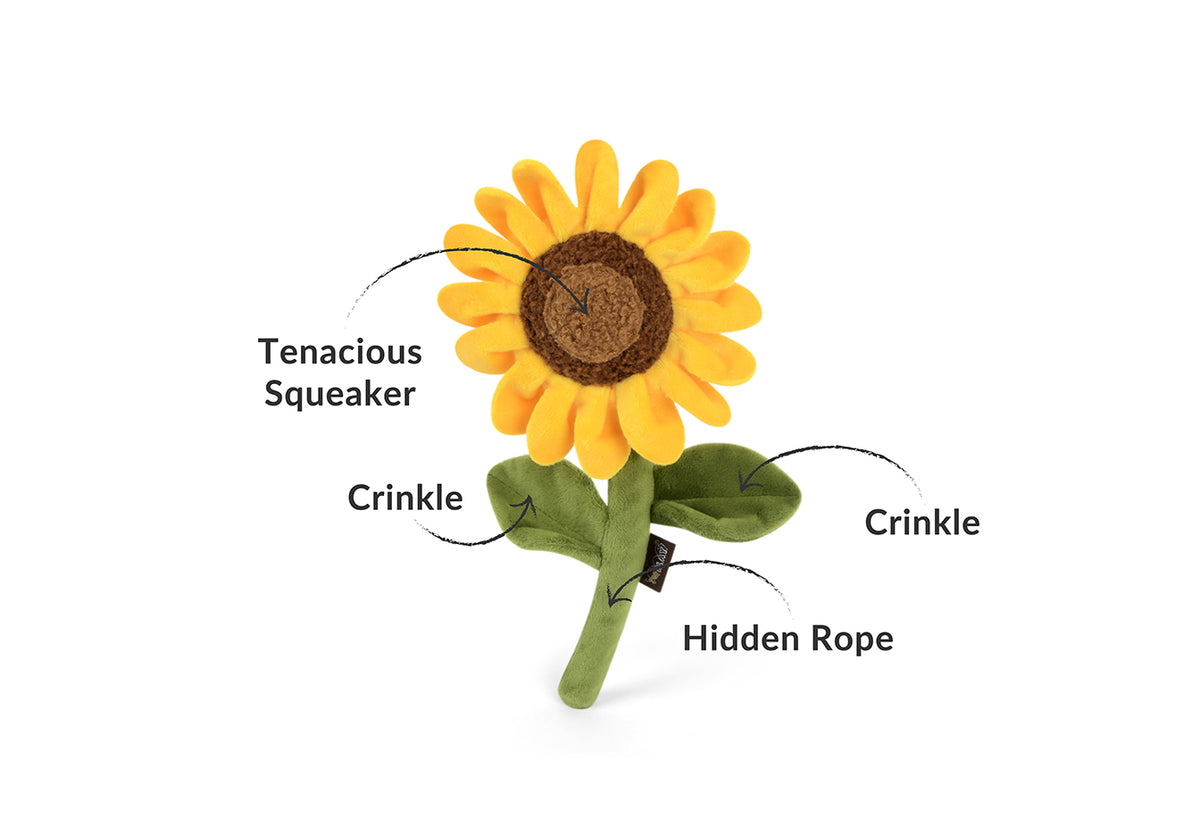 Durable Dog Plush Toy: Sassy Sunflower – Play Pet Brands