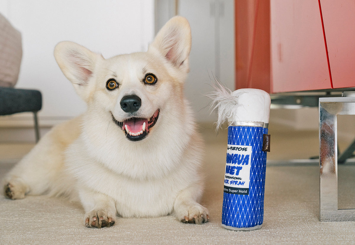 80s Classics Collection – Play Pet Brands