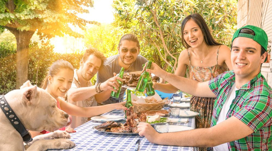 What To Do With Your Pets When You're Entertaining