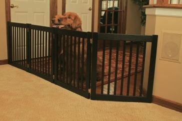 National Train Your Dog Month Training Tip #19: Give Me Some Room! Just not too soon...