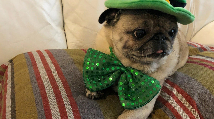 Momo Monday: Greener Guidelines