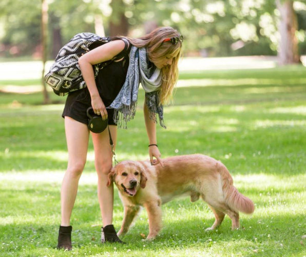 4 Training Techniques for Your Aggressive Dog