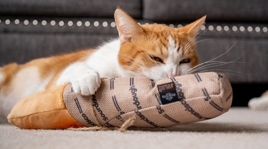 How to Stop Your Cats From Scratching Furniture