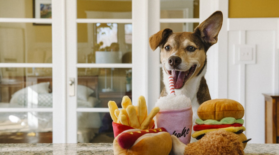 Can My Dog Eat That?