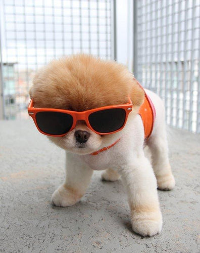 Fun Photo Friday!