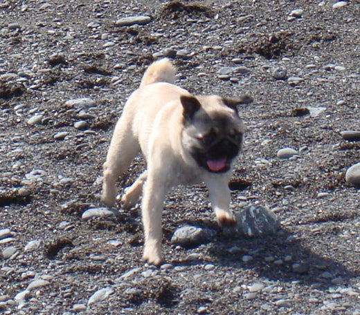 New Year, New Resolutions