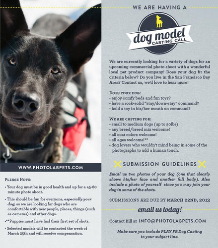 P.L.A.Y. San Francisco Photo Shoot Casting Call!