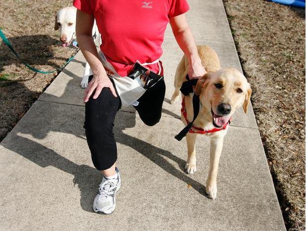 3 Ways Your Dog Can Help With Your New Year Resolution