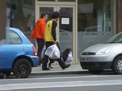 3 Ways Your Dog Can Help Ease the Pain of Gas Prices