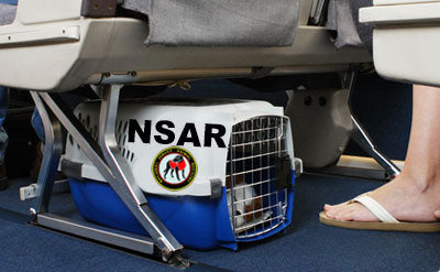 Support Animals and Air Travel - What's Changing in 2021