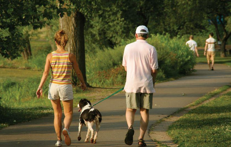 Exercise Central: What's the Best Time of Day to Walk Your Dog?