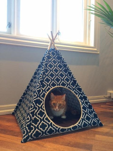 The Lo-Down: Ailo's Dream Birthday