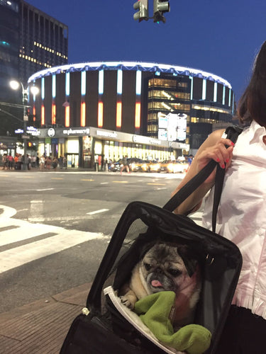 Momo Monday: Taking a Bite Out of The Big Apple