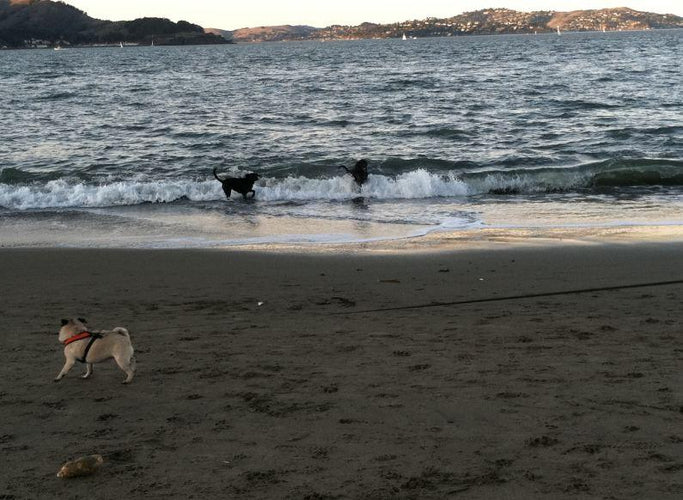 Spring is in the Air!