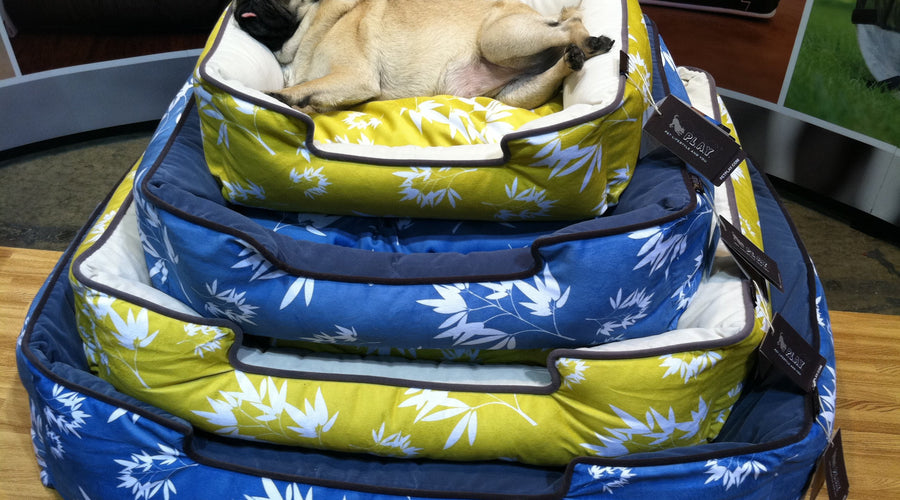 Wordless Wednesday: Princess and the Pea