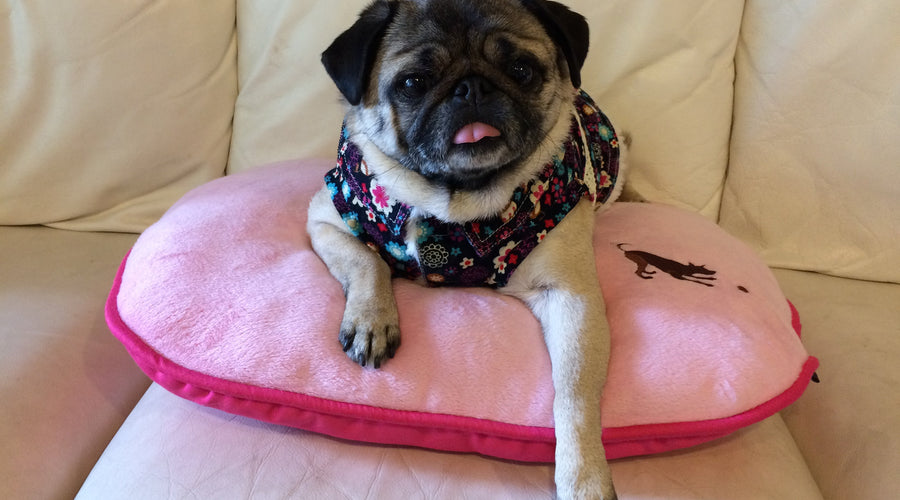 Momo Monday: Time to Put Love on Top