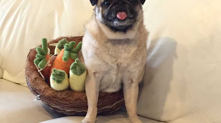 Momo Monday: Fall Favorites