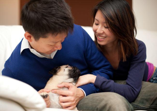 Momo Mondays: What Your Dog is Saying to You