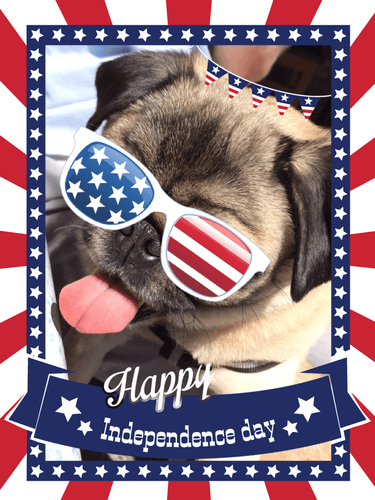 Tips for a Happy and Safe 4th of July from Momo & her Friends