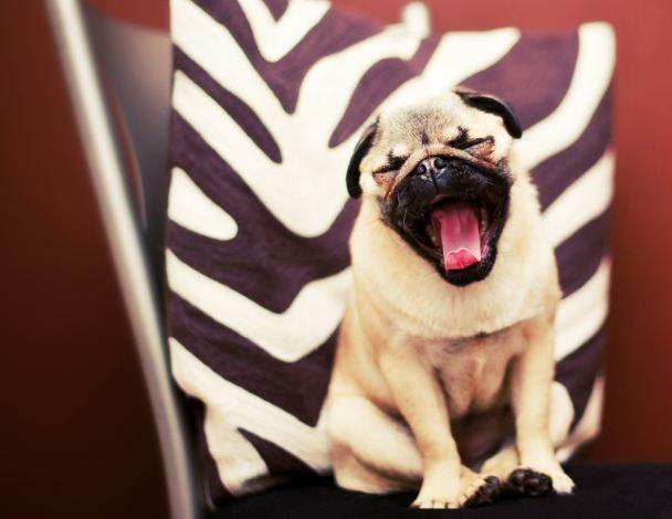 Momo Mondays: Saved for a Rainy Day