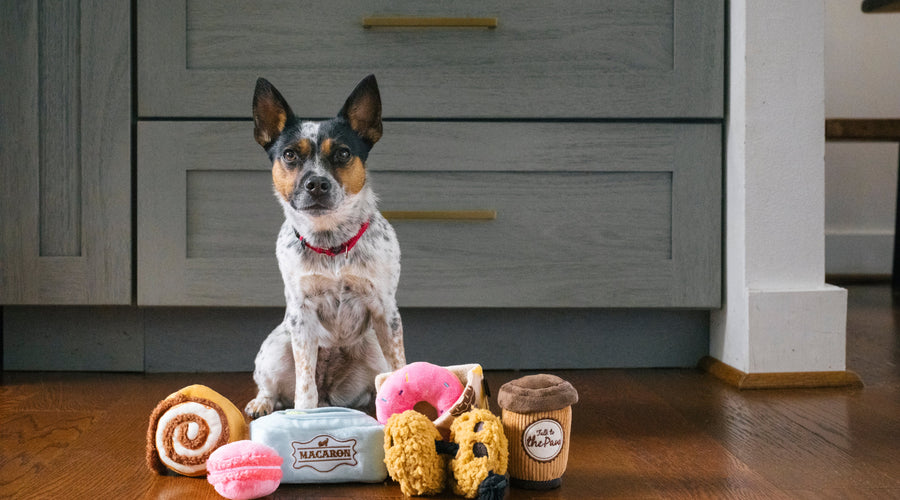 3 Easy Dog Treat Biscuit Recipes Made with 5 Ingredients or Less