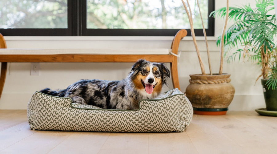 Beautiful names for pets inspired by crystals and gemstones