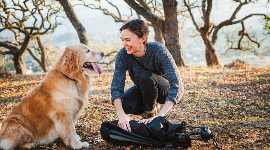 How to Stop Dogs from Chasing Wildlife