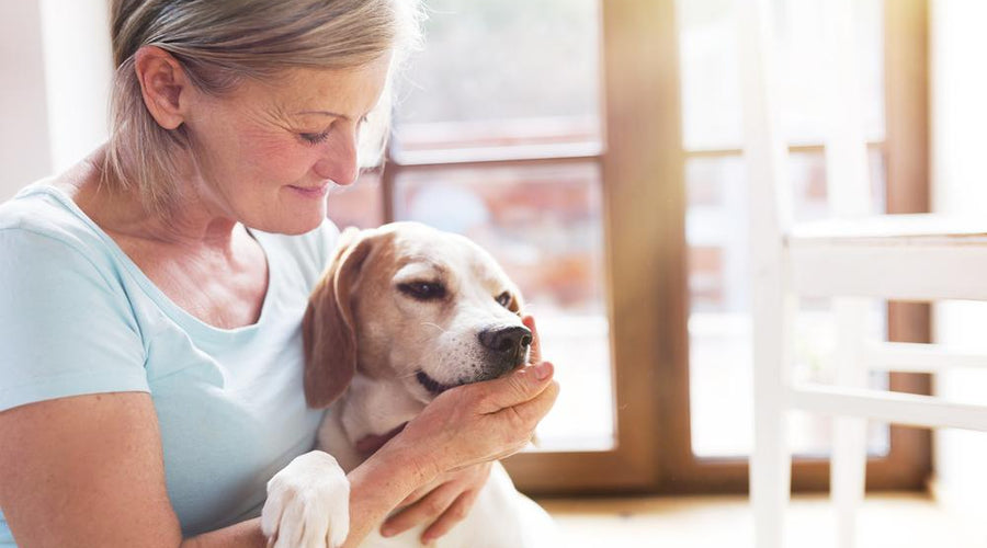 3 Things Seniors Should Consider Before Getting a Pet