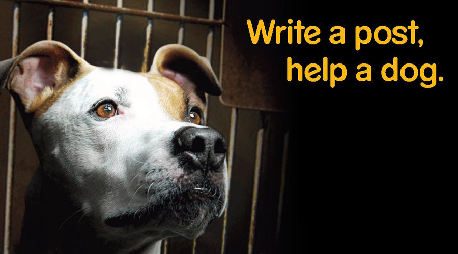 Pedigree Write a Post, Help a Dog