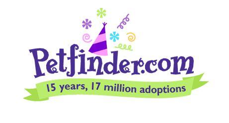 Adopt the Internet Day