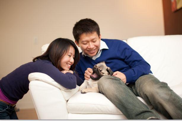 Momo Mondays: May is National Pet Month!