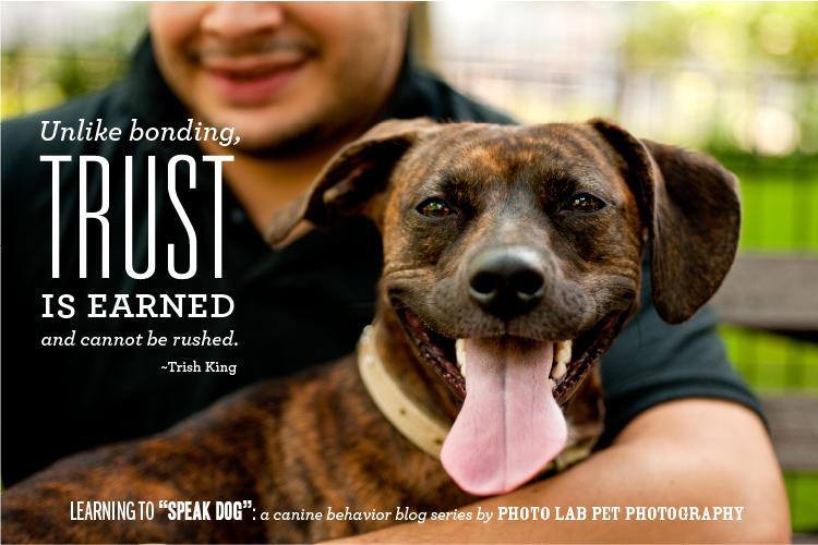 Learning to Speak Dog Part Three: Trust
