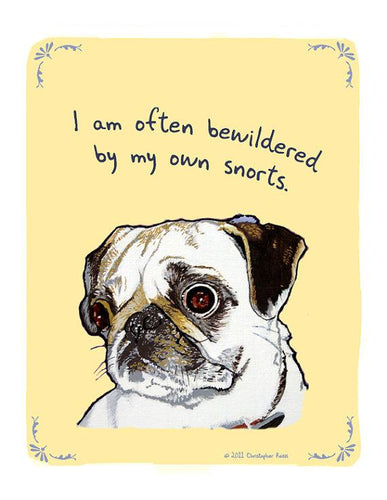 Momo Mondays: Tiny Confessions