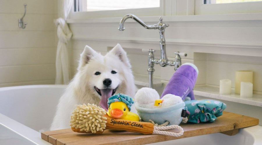 2025 Pet Wellness Guide: Tips for Healthier Cats and Dogs