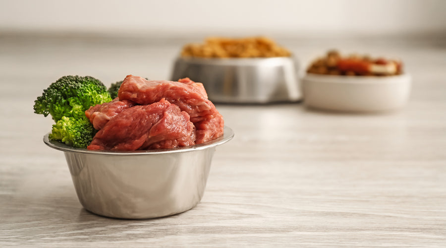 Why Organic Pet Food Is a Better Choice When Feeding Your Pet