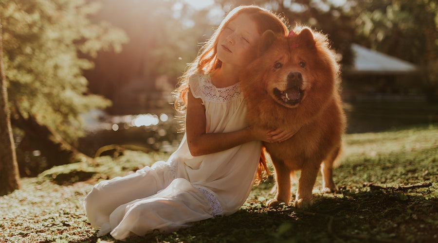 How to Keep Your Furry Friend Safe and Healthy in Summer Heat