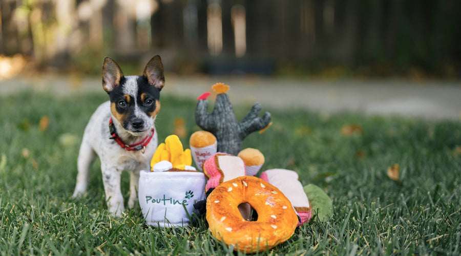 Celebrating B Corp Month: P.L.A.Y. Collaborates with Fellow B Corp Brands to Create Fun and Unique Dog Toys