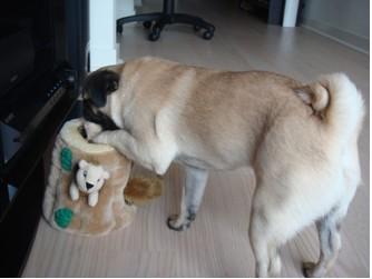 Momo Mondays: RIP Beloved Toys