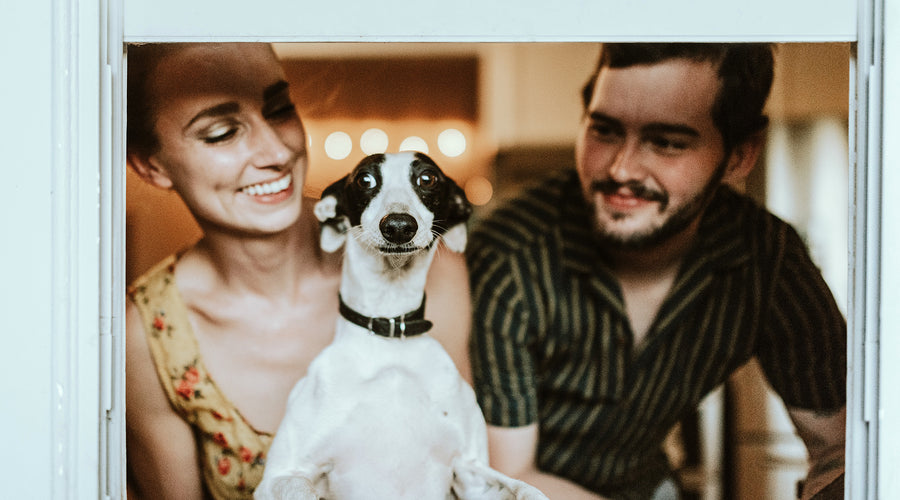 The Best Breeds for Couples