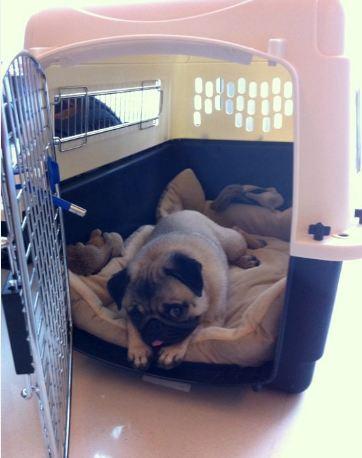 Momo Mondays: Home Sweet Home