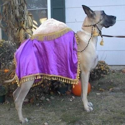WORDLESS WEDNESDAY: GUESS WHAT DAY IT IS