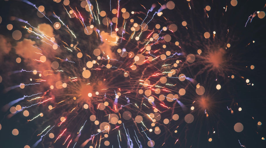 How to Keep Your Dog Safe During Fireworks
