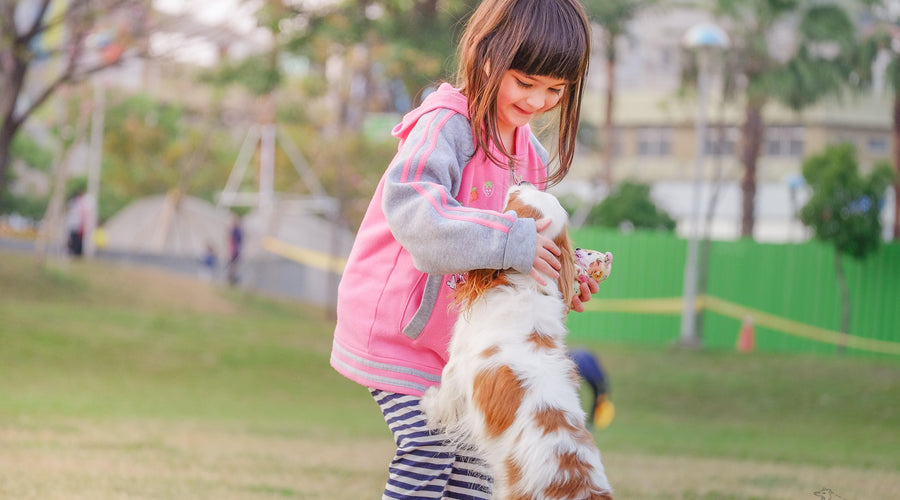 The Class Has Gone to the Dogs! The Benefits of Incorporating Animals in Teaching
