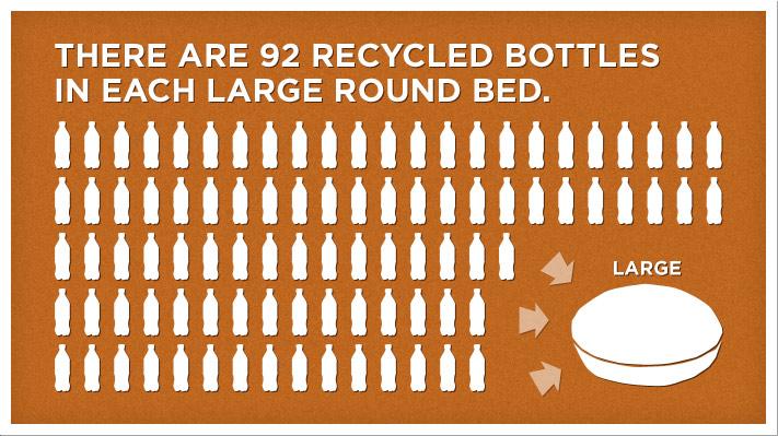 Our Favorite Eco-Friendly Dog Products