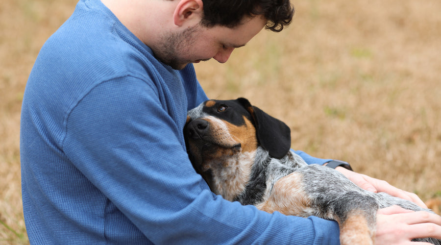 How to Form a Bond with Your Dog