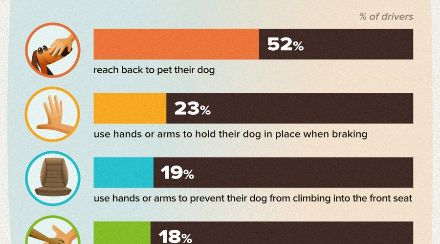 Car Safety for Driving With Your Dog as Co-Pilot
