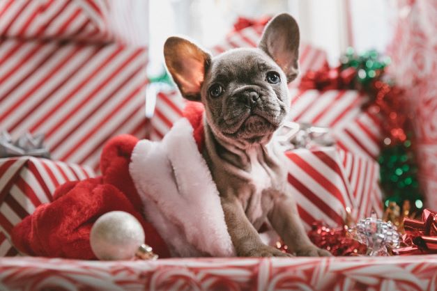 Beware of These Common Holiday Illnesses