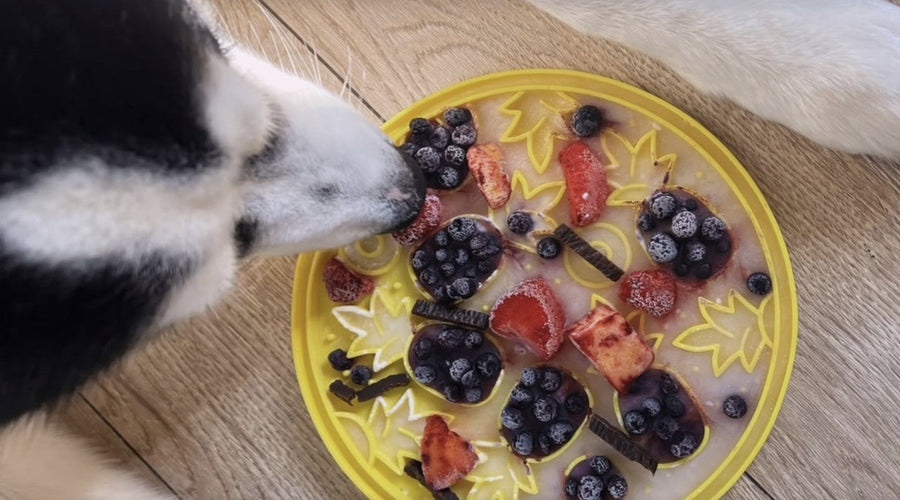 Easy Lick Mat Recipes for Dogs